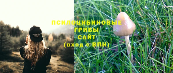 MDMA Premium VHQ Гусиноозёрск