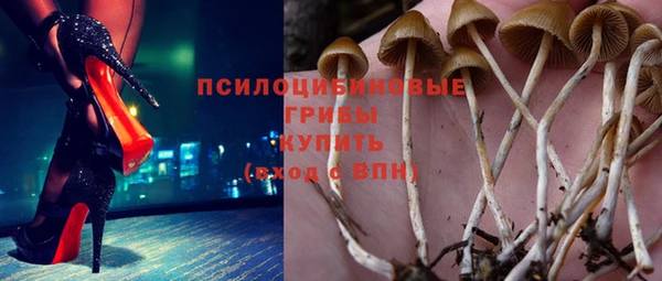 стафф Гусь-Хрустальный
